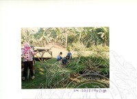 ARKEOLOGI SG. MAS, KEDAH SM : 32-7/94 (WARNA)