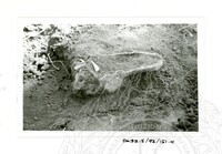 ARKEOLOGI SG. MAS, KEDAH SM: 32-5/ 93 VOL 4 W