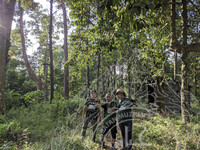 PROGRAM JEJAK WARISAN GUNUNG JERAI, MUZIUM ARKEOLOGI LEMBAH BUJANG