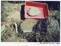 BANGUNAN MUZIUM ARKEOLOGI LEMBAH BUJANG KEDAH - JILID 4