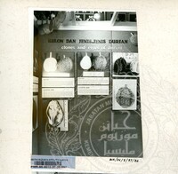 BAHAN PAMERAN DURIAN RAJA SEGALA BUAH