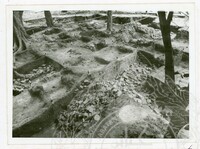 ARKEOLOGI PENGKALAN BUJANG FASA 5 PADA 23-5/91/1-114