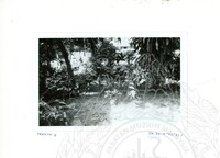 ARKEOLOGI SG. MAS, KEDAH SM: 32-4/ 93 VOL: 2 HP