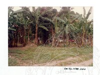 ARKEOLOGI SG. MAS, KEDAH SM: 32-7/95 (JILID 4) (WARNA)