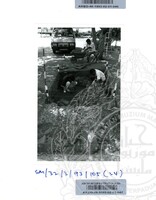 ARKEOLOGI SG. MAS, KEDAH SM : 32-3/93 VOL : 6 HP