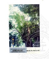 PAMERAN TEROKAI HANTU 2002 (JILID 3)