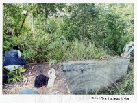 ARKEOLOGI SG. MAS, KEDAH SM: 32/ 2001/ 1-251 (JILID 1)