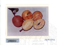 KOLEKSI PAMERAN ALAM SEMULAJADI 1994