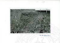 ARKEOLOGI SG. MAS, KEDAH SM : 32 - 3 / 93 8 HP