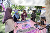 HMA 2024 - SPEED DATING WITH MUSEUM PRACTITIONERS