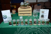 BENGKEL TERRARIUM PUSPANITA