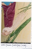 LAWATAN TEKSTIL SEJARAH KALIMANTAN JILID 3