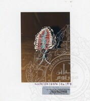 PAMERAN PERHIASAN PAKAIAN KEPALA