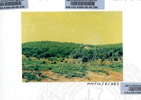 PAMERAN DURIAN RAJA SEGALA BUAH