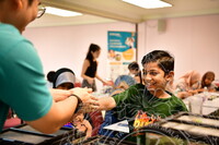 HMA 2024 - BUTTERFLY WING WORKSHOP BY ENTOPIA PENANG