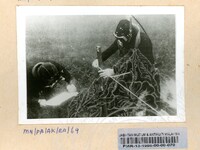 PAMERAN ARKEOLOGI BAWAH AIR 1986