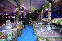 HMA 2025- 24.7.2025 - SEKITAR RERUAI PAMERAN, PANEL BY PANEL DAN CROWD