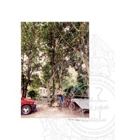 ARKEOLOGI SG. MAS, KEDAH SM: 32-4/ 93 VOL: 3 W