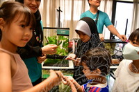 HMA 2024 - BUTTERFLY WING WORKSHOP BY ENTOPIA PENANG