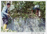 ARKEOLOGI SG. MAS, KEDAH SM: 32/ 2001/ 1-251 (JILID 1)