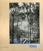 SEJARAH KOLEKSI JOHOR