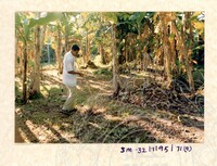 ARKEOLOGI SG. MAS, KEDAH SM: 32-7/ 95 (JILID 2) (WARNA)