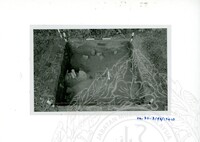 ARKEOLOGI SG. MAS, KEDAH SM : 32 - 3 / 93 8 HP