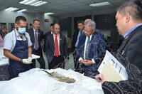 LAWATAN KERJA YBhg. DATO DR.NOOR ZARI BIN HAMAT KE JABATAN MUZIUM MALAYSIA (ALBUM 1)