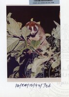 PAMERAN KEINDAHAN ALAM 1994 3