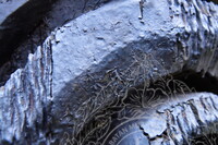 PENDOKUMENTASIAN KONDISI TIANG KELIERING BAGI TUJUAN KONSERVASI