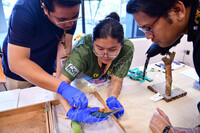 HMA2023 - CURATOR CRASH COURSE DI ARTS AND CRAFTS GALLERY, BCM