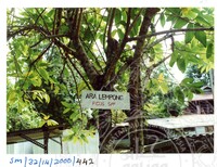 ARKEOLOGI SG, MAS, KEDAH  SM: 32-14/ 2000 (JILID 3)