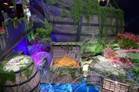 HMA 2025- 24.7.2025 - SEKITAR RERUAI PAMERAN, PANEL BY PANEL DAN CROWD