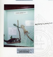 PAMERAN BALAI ILMU KEJADIAN 2002 BALAI C