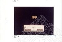 ARKEOLOGI SG. MAS, KEDAH SM : 32-4/93 VOL:2 W