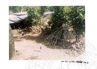 ARKEOLOGI SG. MAS, KEDAH SM: 32-5/ 93 VOL: 3 W