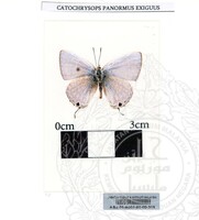 ALAM SEMULAJADI RAMA-RAMA JILID 1