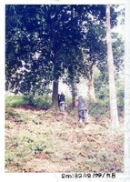 ARKEOLOGI SG, MAS, KEDAH SM: 32-12/ 99