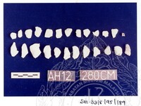 ARKEOLOGI SG. MAS, KEDAH SM: 32-8/ 95 (JILID 3) (WARNA)