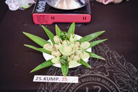 PROGRAM BERMALAM DI MUZIUM