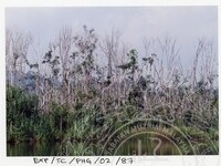 SURVEI KAWASAN SEKITAR TASIK CHINI DAN PENEMPATAN PENDUDUK ORANG ASLI YANG MENGHUNI SEKITAR KAWASANNYA PADA 27 OKTOBER 2002