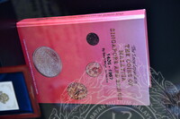 PANEL BY PANEL PAMERAN EVOLUSI MATAWANG