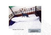 BAHAN PAMERAN TEROKAI HANTU