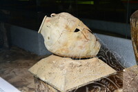 PENDOKUMENTASIAN ARTIFAK GALERI A MUZIUM NEGARA