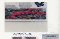 PAMERAN KEINDAHAN ALAM 1994 (2)