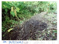 ARKEOLOGI SG. MAS, KEDAH SM: 32-9/ 2000 (JILID 7)