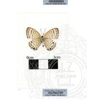 ALAM SEMULAJADI RAMA-RAMA JILID 1