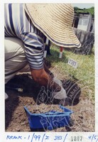 ARKEOLOGI KOTA KUALA MUDA 1999 JILID 7