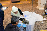 PEMBUNGKUSAN KOLEKSI ISTANA NEGARA DI GALERI 1 DAN KEMASUKAN KOLEKSI LEMBAGA MUZIUM NEGERI KEDAH