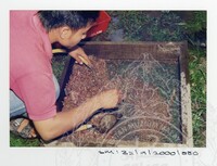 ARKEOLOGI SG. MAS, KEDAH SM: 32-9/2000 (JILID 4)